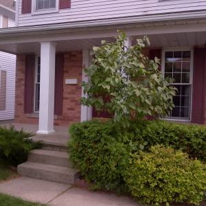 IMG-20130902-00046